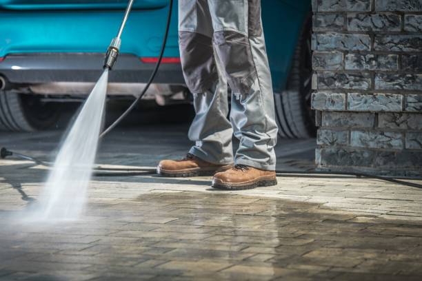 Best Winterizing Services  in Wilson, NC