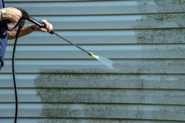 Best Rust Removal  in Wilson, NC